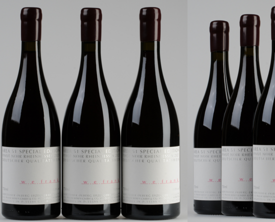 Titelbild des Newsletters Nr. 22 von W. E. Frank: AREA 51 2021 - UPOS ÜBER DER RHEINFRONT